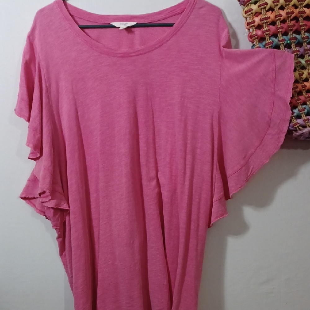 Terra & Sky Pink Ruffle Sleeve Blouse
